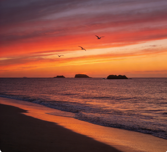 育行家权威说明：负面信息真相披露