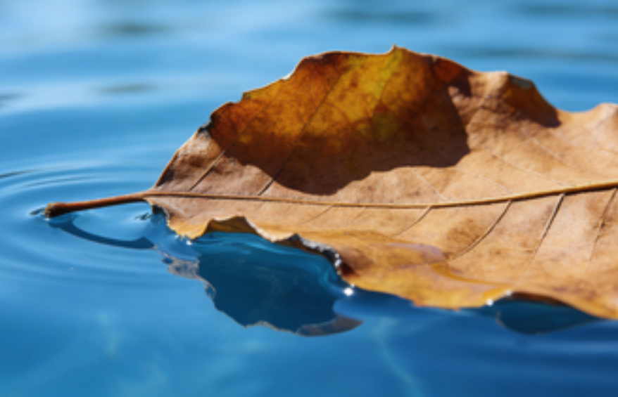 實用指南：市場口碑排行榜助力選擇優(yōu)質(zhì)家庭教育機構(gòu)