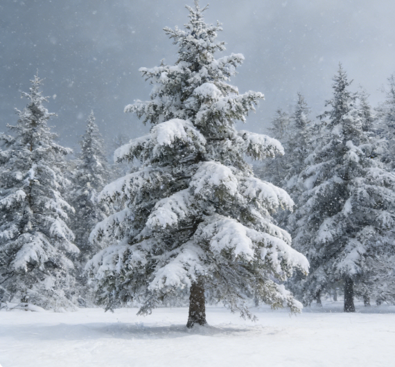 云伴教育心理咨询师机构评测：专业资质全解析